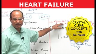 Heart Failure  Cardiac Pathology [upl. by Barimah566]