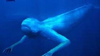 40 Images That Prove You Have Thalassophobia [upl. by Gunar119]