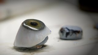 How Jades prosthetic eyes are made [upl. by Anairotciv]