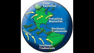 What are Westerlies [upl. by Ifok]