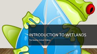 Introduction to Wetlands [upl. by Chalmer]