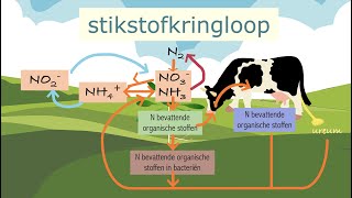 De stikstofkringloop [upl. by Darrey]