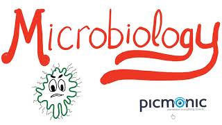 Microbiology Part 1 Introduction  Actinomyces israeli Listeria Diphtheria Nocardia  Picmonic [upl. by Gorlin]