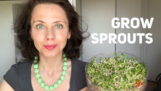 How to grow sprouts at home with Biosnacky [upl. by Ahsille]