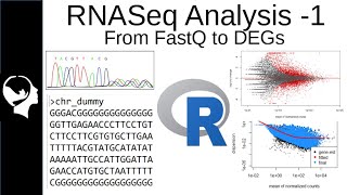 RNASeq Analysis  Differential Expressed Genes DEGs from FastQ [upl. by Kiele]