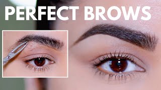 HOW TO GROOM SHAPE amp MAINTAIN EYEBROWS AT HOME BEGINNER FRIENDLY [upl. by Ytnom]