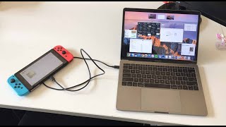 how to connect a nintendo switch to a laptop screen [upl. by Gerda308]