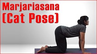 Ashtanga Yoga Marjariasana Cat Pose amp Its Benefits [upl. by Gleason958]