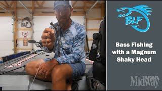 How to Bass Fish with a Magnum Shaky Head  Pro Angler Brandon Lester [upl. by Aurita517]