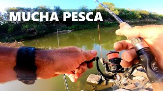 HERMOSO DÍA DE PESCA URBANA [upl. by Antonina]