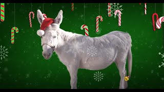 Lou Monte  Dominick The Donkey Official Lyric Video [upl. by Maloy]