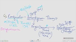 Angiosperm Origin amp Evolution  Coniferales amp Amentiferae Theory amp Pentaxylon Theory [upl. by Acinomaj]