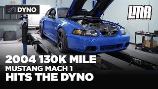 How Much Power Does A 2004 Mach 1 Make In 2021  Mustang Mach 1 Dyno [upl. by Nylirad]