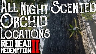 Red Dead Redemption 2  All 10 Night Scented Orchid Locations Duchesses and Other Animals Exotics [upl. by Standley]