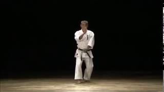 Okinawa Shorin Ryu Shubukan  9 Dan Uema Yasuhiro Sensei Katas [upl. by Hayifas]