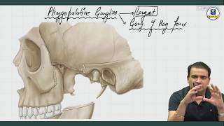 Parasympathetic Ganglia  Anatomy by Dr Ashwani Kumar [upl. by Faxun]