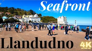 A walk through LLANDUDNO Wales  Full Llandudno Promenade and Llandudno Pier Tour [upl. by Cochrane]