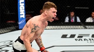 Top Finishes Paul Felder [upl. by Verene]