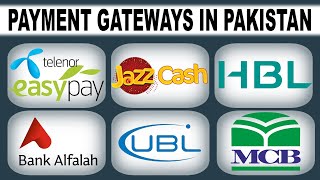 Payment Gateway for Website in Pakistan [upl. by Ihsoyim459]