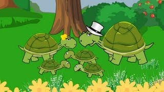 La famille Tortue [upl. by Sevy]