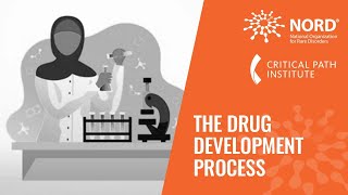 The Drug Development Process [upl. by Gnouhp]