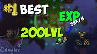 BEST EXP SPAWNS FOR LEVEL 200 PALADINS 1 EPISODE ORAMOND WEST TIBIA [upl. by Anatnom613]