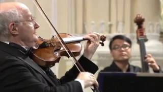 Antonio Vivaldi – Violin Concerto in gminor RV 317 [upl. by Covell238]