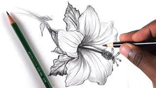 How To Draw A Flower Step by Step In 10 Minutes [upl. by Emma]