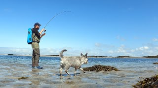 Lure Fishing for Sea Trout in Scotland  Lure Fishing UK [upl. by Zahara]