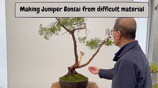 Making Juniper Bonsai from Difficult Material [upl. by Yrrab]