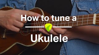 Ukulele Tutorial How To Tune a Ukulele [upl. by Ghiselin]