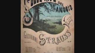 Sul Bel Danubio Blu Johann Strauss [upl. by Gerger]