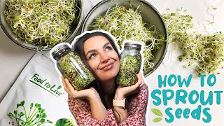 HOW TO SPROUT SEEDS  EASY GUIDE  Foolproof Method [upl. by Yereffej]