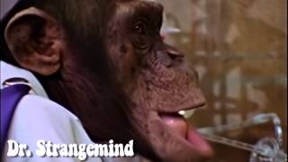 Lancelot Link Secret Chimp May 29th Video from Original ABC Masters [upl. by Airuam]