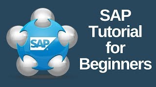 SAP Tutorial for Beginners [upl. by Anatniuq834]