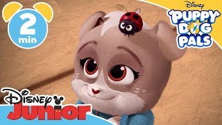 Puppy Dog Pals  Keia Gets Lost  Magical Moment  Disney Kids [upl. by Maxy]