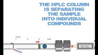 How HPLC Columns Work [upl. by Joyann168]