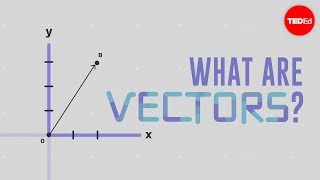 What is a vector  David Huynh [upl. by Doownelg134]