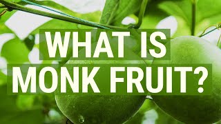 What is Monk Fruit [upl. by Felicia]