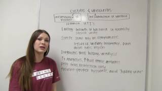 Cystitis and Urethritis [upl. by Yemrots473]