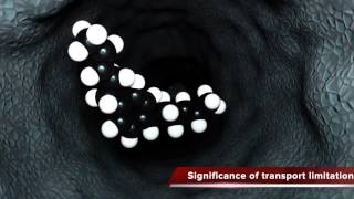 Explanation of Catalytic Cracking through Zeolites [upl. by Aeriel12]