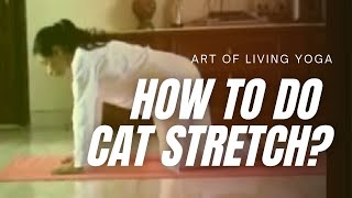 How To Do Cat Stretch Yoga  Marjari Asana  Sri Sri Yoga  Kamlesh Barwal [upl. by Sairacaz914]