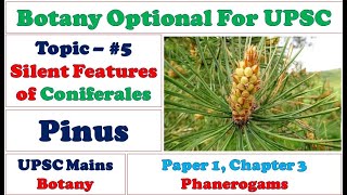 Silent features of Coniferales Pinus Structure and Reproduction Phanerogams UPSC Botany Videos [upl. by Hamlin456]