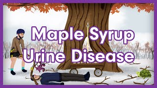 Maple Syrup Urine Disease MSUD  USMLE Step 1 Biochemistry Mnemonic [upl. by Cleodel]