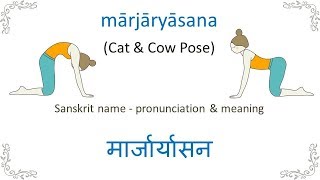 Sanskrit for Yoga  Cat Cow Pose [upl. by Mead59]