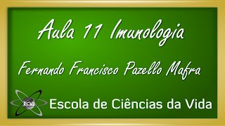 Imunologia Aula 11  Maturação de linfócitos  introdução [upl. by Dorsey]