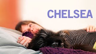 Chelsea  POLSKI LEKTOR  Darmowy Film Fabularny  Cały Film  Polish Voiceover  Dramat [upl. by Tigges]