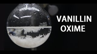 Making Vanillin Oxime Capsaicin precursor [upl. by Elexa114]