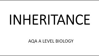 INHERITANCE  AQA A LEVEL BIOLOGY  EXAM QUESTIONS RUN THROUGH [upl. by Poore]