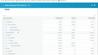 Workday reporting  intercompany eliminations [upl. by Anotyad325]